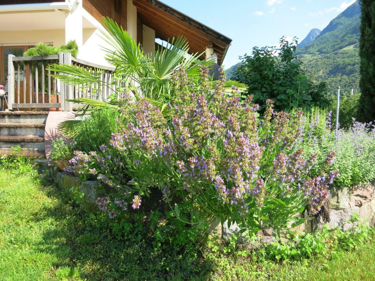 Feldererhof Postal / Burgstall Exterior foto