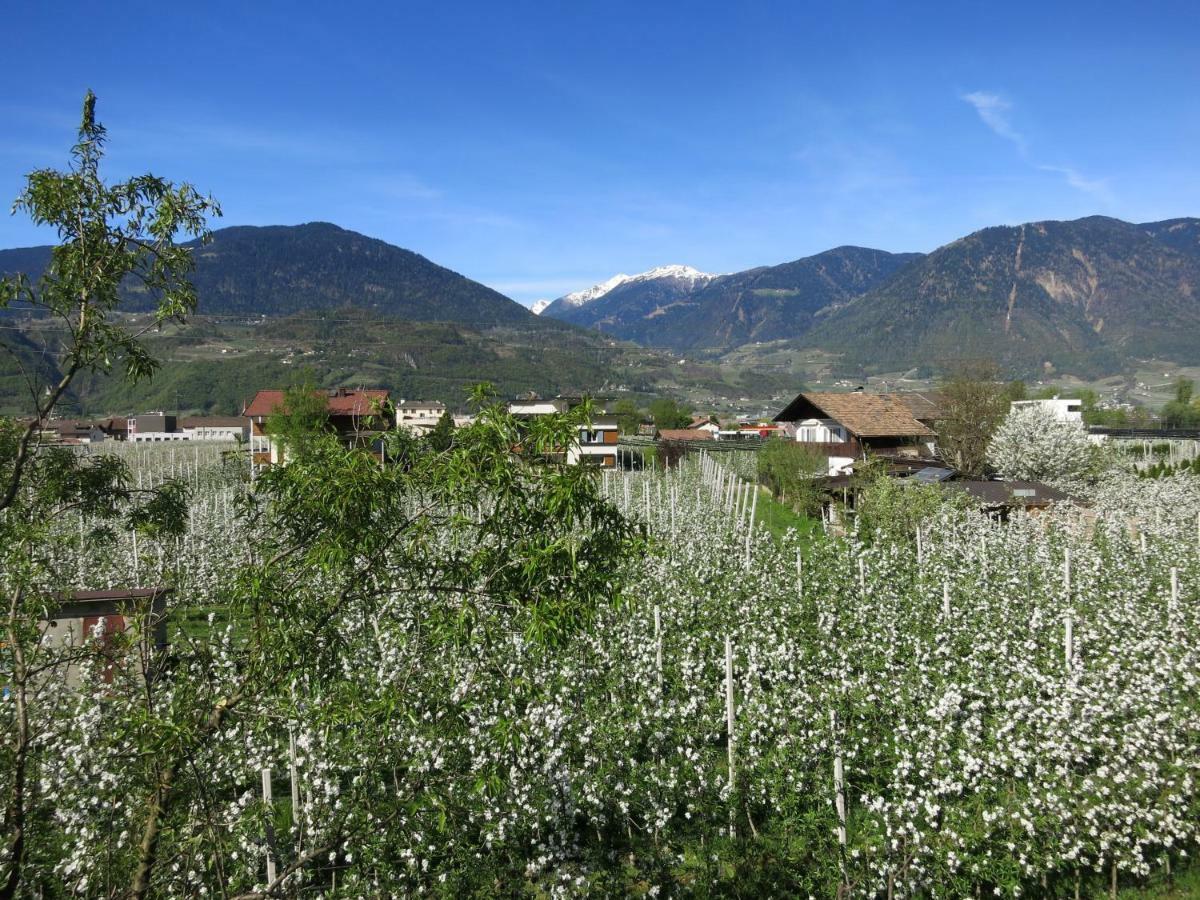 Feldererhof Postal / Burgstall Exterior foto